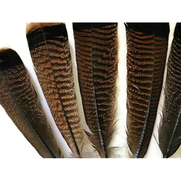 8-30 cm 10-100pcs Wholesale unique wild Turkey tail feathers 3-12 inches 8-30 cm 10-100pcs Wholesale unique wild Turkey tail feathers 3-12 inches